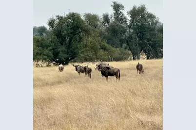 83 &amp; 84 Stock Pond Dr, Harper, TX 78631 - Photo 3