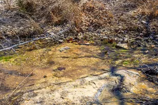 166 Dittmar Creek Rd, Harper, TX 78631 - Photo 7