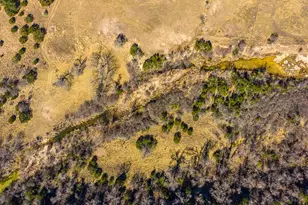 166 Dittmar Creek Rd, Harper, TX 78631 - Photo 11