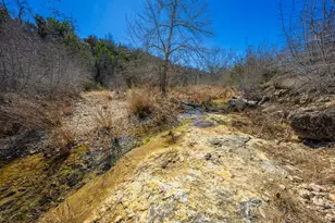 166 Dittmar Creek Rd, Harper, TX 78631 - Photo 9