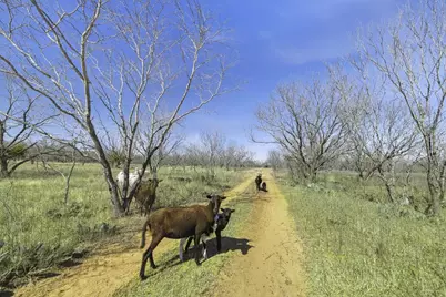 10220 E US Hwy 290, Fredericksburg, TX 78624 - Photo 35