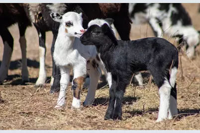 10220 E US Hwy 290, Fredericksburg, TX 78624 - Photo 17