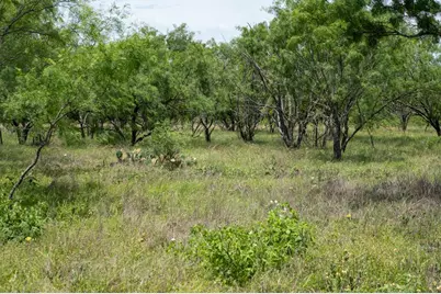 10220 E US Hwy 290, Fredericksburg, TX 78624 - Photo 29