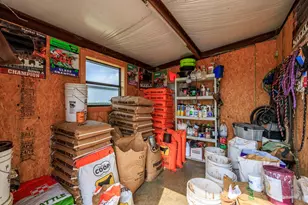 5686 Ranch Rd 1631, Fredericksburg, TX 78624 - Photo 43