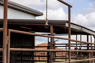 5686 Ranch Rd 1631, Fredericksburg, TX 78624 - Photo 51