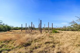 56 Rocky Top Rd, Harper, TX 78631 - Photo 31