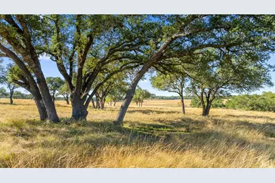 2482 Ranch Rd 2721, Johnson City, TX 78636 - Photo 9