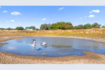 2482 Ranch Rd 2721, Johnson City, TX 78636 - Photo 3