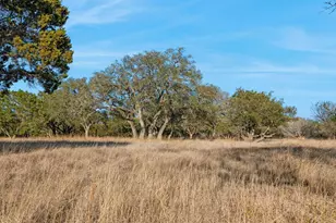 521 Bluff Creek Rd, Center Point, TX 78010 - Photo 51