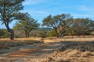 521 Bluff Creek Rd, Center Point, TX 78010 - Photo 49