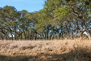 521 Bluff Creek Rd, Center Point, TX 78010 - Photo 45