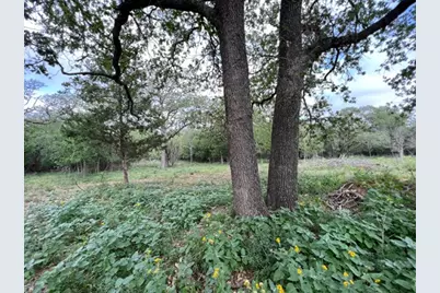 510 W Walch Ave, Fredericksburg, TX 78624 - Photo 11