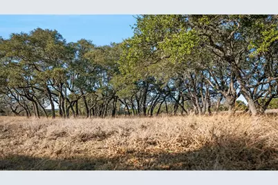 521 Bluff Creek Rd, Center Point, TX 78010 - Photo 59