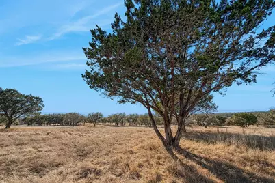 521 Bluff Creek Rd, Center Point, TX 78010 - Photo 69