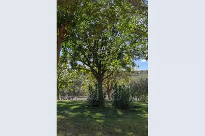 521 Bluff Creek Rd, Center Point, TX 78010 - Photo 41