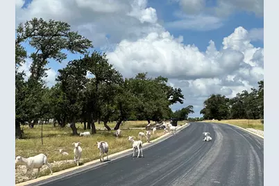 282 Inspiration Loop, Fredericksburg, TX 78624 - Photo 23