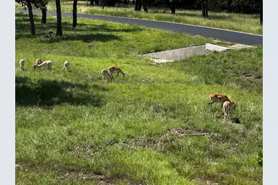 282 Inspiration Loop, Fredericksburg, TX 78624 - Photo 21