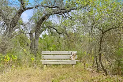 232 Crooked Oak Ln, Round Mountain, TX 78663 - Photo 67