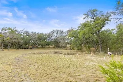 232 Crooked Oak Ln, Round Mountain, TX 78663 - Photo 75