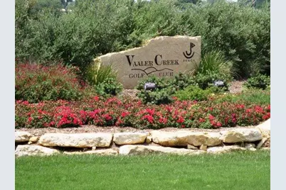 217 Lewis Todd, Blanco, TX 78606 - Photo 21