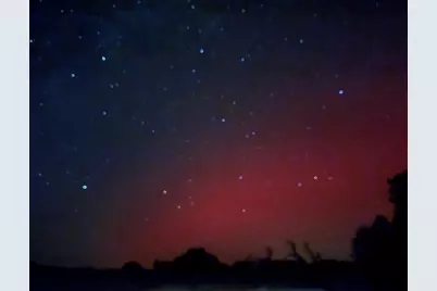 440 Junker Hill Dr, Fredericksburg, TX 78624 - Photo 55