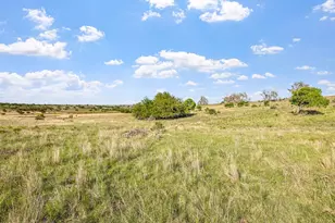 440 Junker Hill Dr, Fredericksburg, TX 78624 - Photo 57