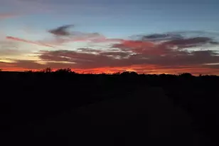 440 Junker Hill Dr, Fredericksburg, TX 78624 - Photo 89