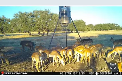 171 Crooked Tree Circle, Harper, TX 78631 - Photo 7