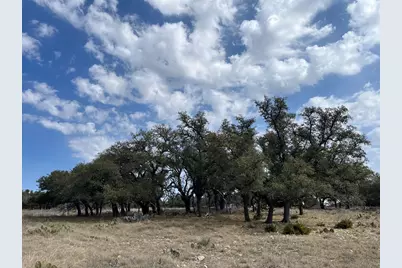 171 Crooked Tree Circle, Harper, TX 78631 - Photo 3