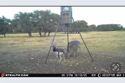 171 Crooked Tree Circle, Harper, TX 78631 - Photo 9