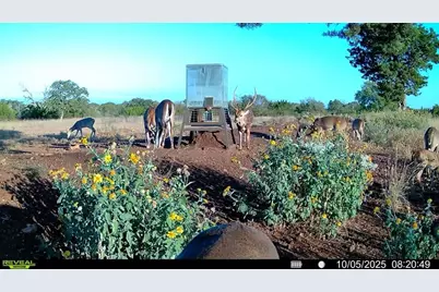 647 Funf Kinder Rd, Fredericksburg, TX 78624 - Photo 69