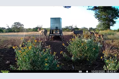 647 Funf Kinder Rd, Fredericksburg, TX 78624 - Photo 65