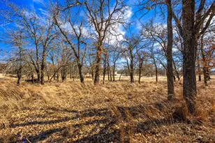 415 Mystic Oaks Trl, Fredericksburg, TX 78624 - Photo 41