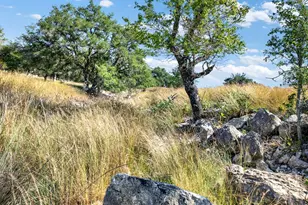 3408 Grape Creek Rd, Fredericksburg, TX 78624 - Photo 59
