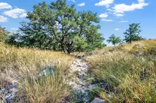 3408 Grape Creek Rd, Fredericksburg, TX 78624 - Photo 57