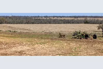 2020 Wendel Rd, Harper, TX 78631 - Photo 13