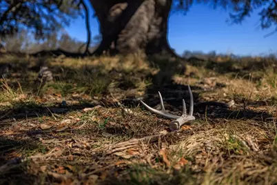 2020 Wendel Rd, Harper, TX 78631 - Photo 39