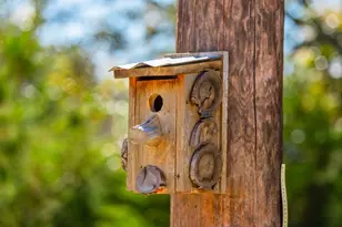 5077 Old San Antonio Rd, Fredericksburg, TX 78624 - Photo 45