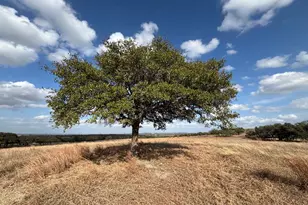 000 Watch Hill Ln, Fredericksburg, TX 78624 - Photo 1