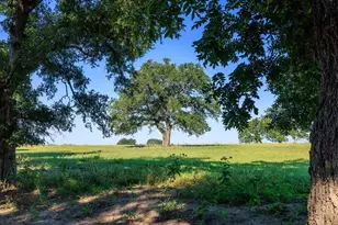 12215 W Fm 2093, Fredericksburg, TX 78624 - Photo 73