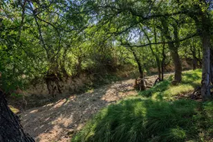 12215 W Fm 2093, Fredericksburg, TX 78624 - Photo 67