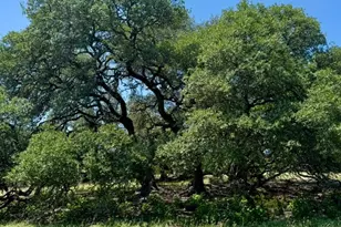 Tbd Grape Creek Rd, Fredericksburg, TX 78624 - Photo 1