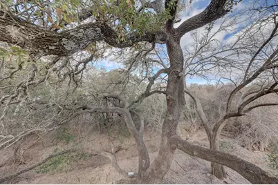 507 W Travis St, Fredericksburg, TX 78624 - Photo 37