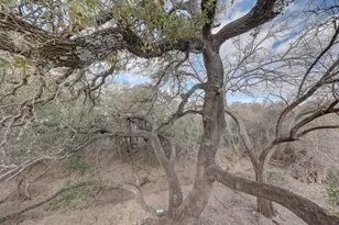 507 W Travis St, Fredericksburg, TX 78624 - Photo 37