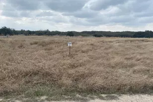 Lot 3 Legacy Oaks Dr, Harper, TX 78631 - Photo 1