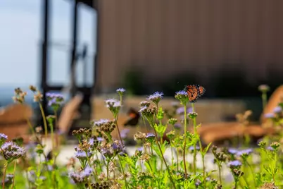 220 N Spies Ridge Dr., Fredericksburg, TX 78624 - Photo 13