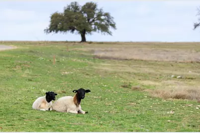 Lot 27 Dancing Sun Rd, Fredericksburg, TX 78624 - Photo 17