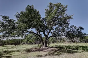 647 Blue Sage Loop, Kerrville, TX 78028 - Photo 57