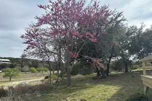 185 Cougar Park, Hunt, TX 78024 - Photo 21