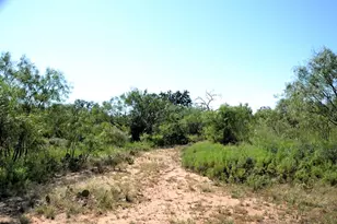 507 Buckhorn Dr, London, TX 76854 - Photo 17